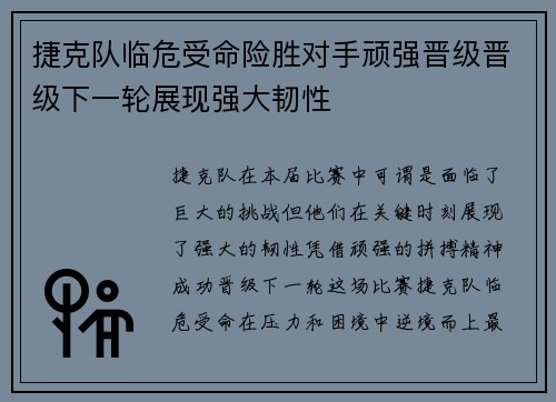 捷克队临危受命险胜对手顽强晋级晋级下一轮展现强大韧性